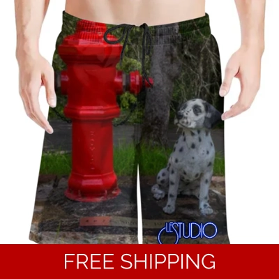 Le Studio Signals Dog Statue 1 Beach Shorts